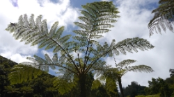 (2014-08) - 06 - Vacances à Madère - Ribeiro Frio